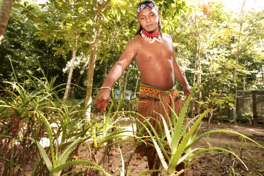 porto seguro, bahia / brazil - june 18, 2010: Pataxo Indians seen in the village Jaquira in the city of Porto Seguro.