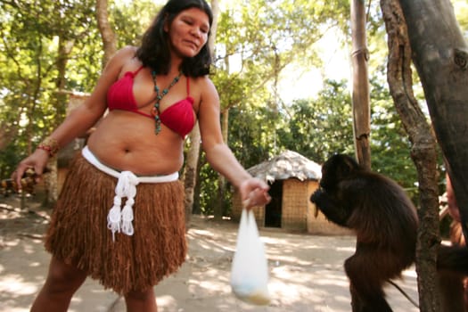 Porto Seguro, Bahia / Brazil - June 18, 2010: Pataxo Indians hold pet monkeys in Vila Jaquira in the city of Porto Seguro.