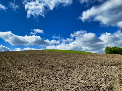 Landscape Agriculture, field with blue sky and cumulus clouds
