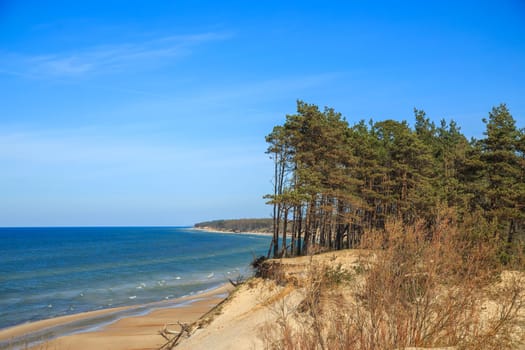 Baltic Sea coast in Latvia. Sand dunes with pines and clouds. Typical Baltic beach landscape