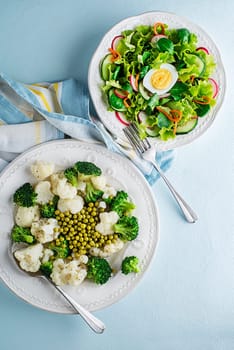 Healthy salad meals with cooked vegetable and fresh lettuce salad. Healthy vegetable diet meal.