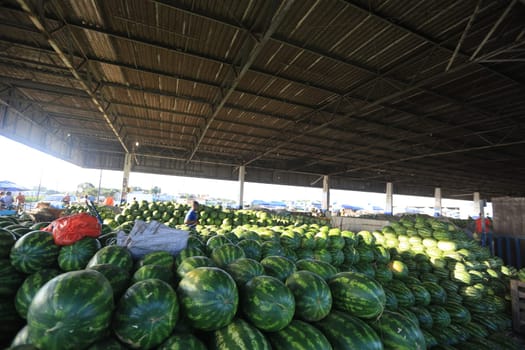 salvador, bahia / brazil - june 8, 2016: sale of watermelon in food distribution center in the city of Salvador.