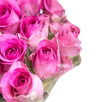 Female Silhouette of Roses