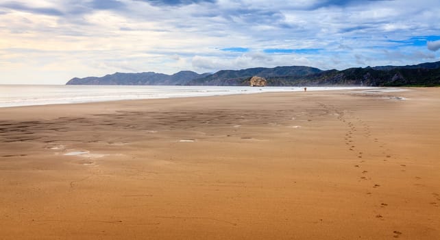 Sand beach in Santa Rosa National Park on the Pacific coast of Costa Rica