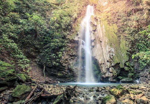 La catarata de la llorona waterfall in Corcovado National Park in Costa Rica