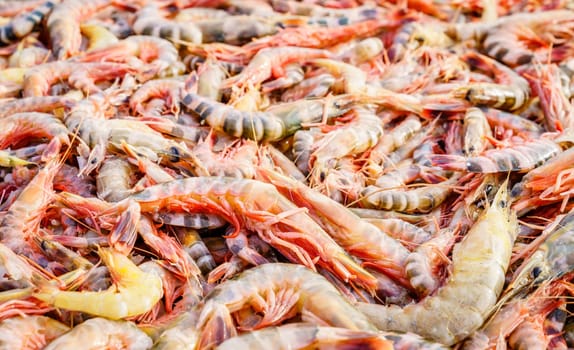 Fresh shrimp harvest at a market in Chittagong, Bangladesh