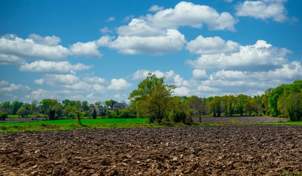 a plowed field and blue sky with clouds
