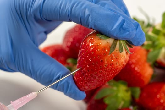 close up of woman with gloves uses a syringe. Genetic modification of fruits and vegetables.