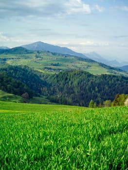 View of the rolling hills and beautiful countryside of Neuheim in the Canton of Zug, Switzerland.