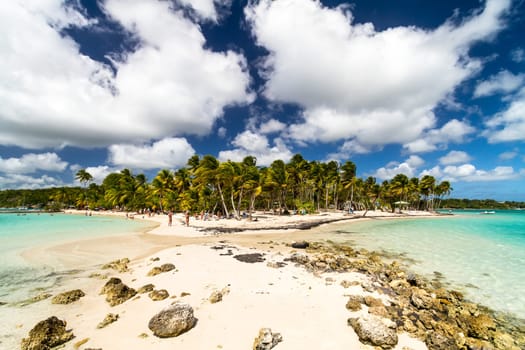 Beautiful paradise beach in tropical island of Guadeloupe