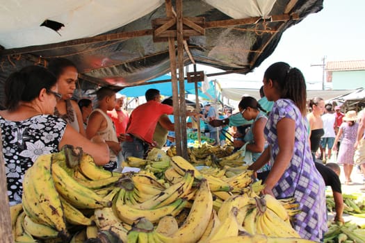 conde, bahia / brazil - september 7, 2012: Bananas are seen for sale at a free market in the city of Conde.
