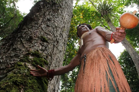 porto seguro, bahia / brazil - october 20, 2012: Indians of the Pataxo etina are seen in the Monte Pascoal National Park in Porto Seguro.