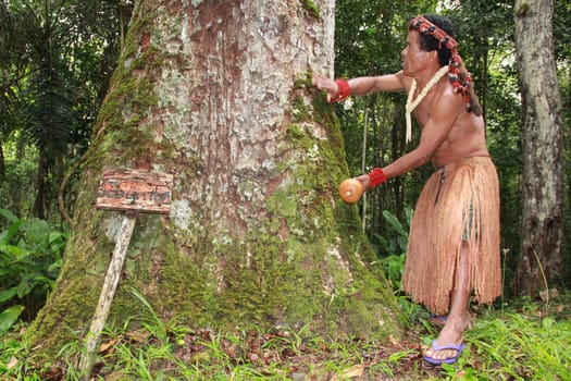 porto seguro, bahia / brazil - october 20, 2012: Indians of the Pataxo etina are seen in the Monte Pascoal National Park in Porto Seguro.