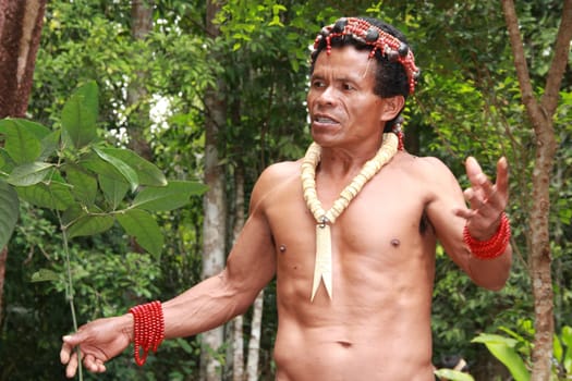 porto seguro, bahia / brazil - october 20, 2012: Indians of the Pataxo etina are seen in the Monte Pascoal National Park in Porto Seguro.
