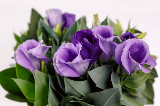 Violet eustoma flowers closeup on light background