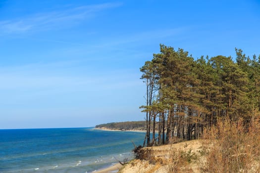Baltic Sea coast in Latvia. Sand dunes with pines and clouds. Typical Baltic beach landscape