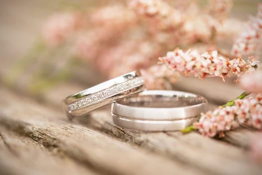 silver wedding rings with pink Flowers on a wooden underground