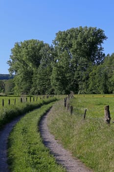 Dirt road through the meadows near Nußloch Maisbach