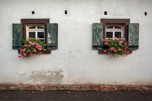 two windows with pink flowers