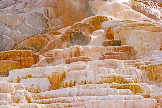 Hot Water Rushing Down Limestone Terraces at Mammoth Hot Springs in Yellowstone National Park in Wyoming