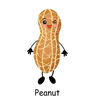 cartoon nuts vector illustration isolated on white background. Kawaii peanut