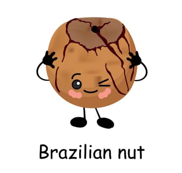 Brazilian nut. Vector illustration. Walnut character isolated on white background.