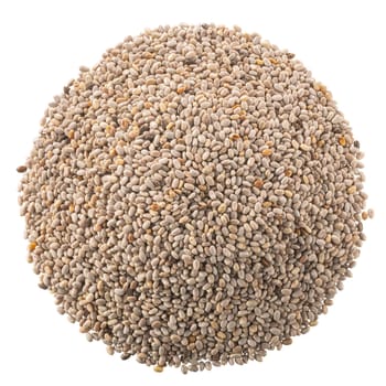 Pile of white chia seeds (Salvia hispanica), isolated, top view