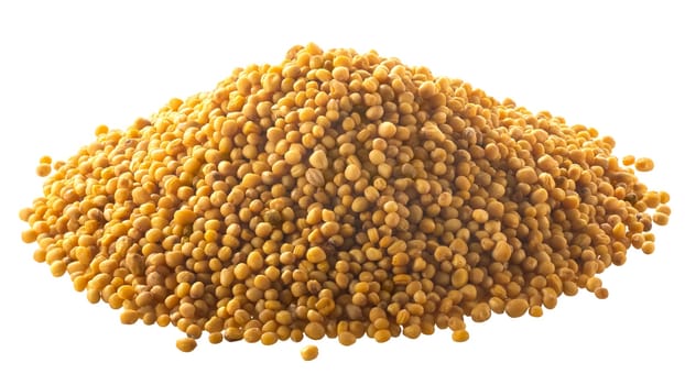 Pile of whole dried mustard seeds (Sinapis alba), isolated