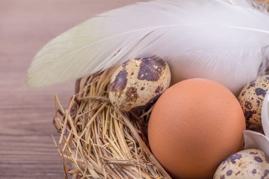 Happy easter with hidden nest. Traditional easternest bouquet deco for celebration. Handmade decoration with chicken and quail egg.