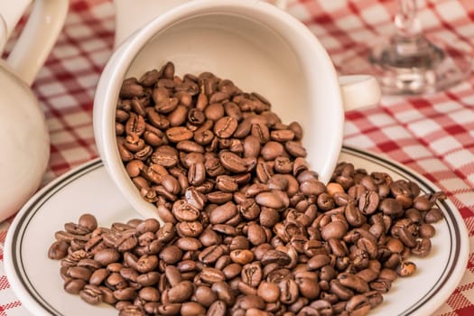Fresh gourmet flavor aroma. Delicious fair trade cafe cappuccino or espresso ingredient. The bean bunch was fallen over at breakfast.