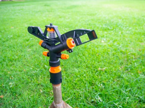 Watering plants and lawns in the garden is the selective focus of Springer.
