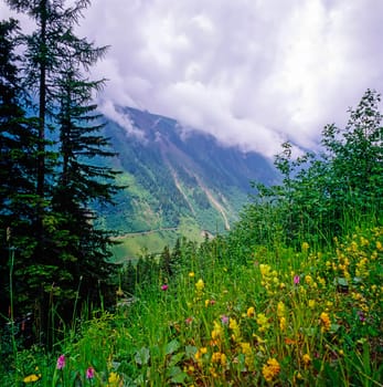 Austrian Alps