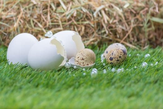 Happy easter with hidden nest. Traditional basket deco for celebration. Handmade decoration of chicken and quail egg on green pasture.