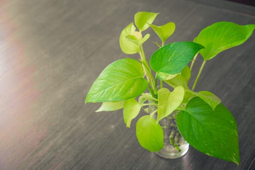 pot wooden table background with copy space