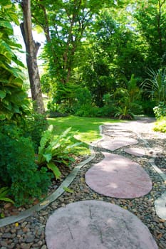 Landscaping in the garden. The path in the garden