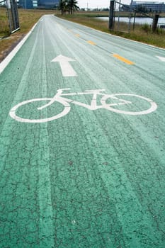Green bike lanes Healthy Lifestyle