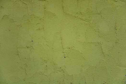 Olive wall texture