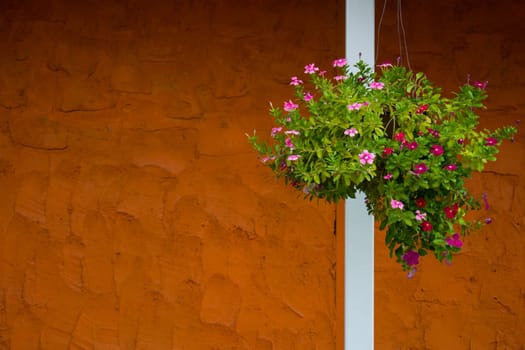 Window With Flower Basket On Orange Wall