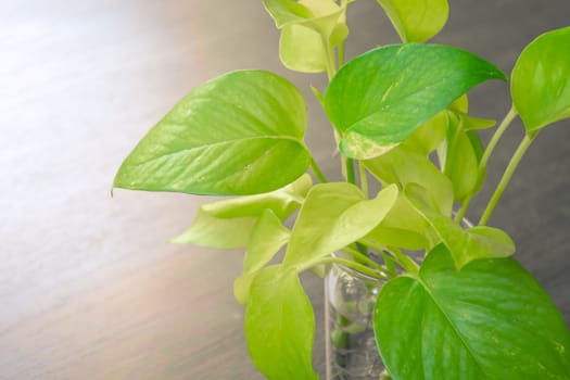 pot wooden table background with copy space