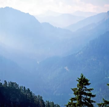 Bavarian Alps in fog, Germany