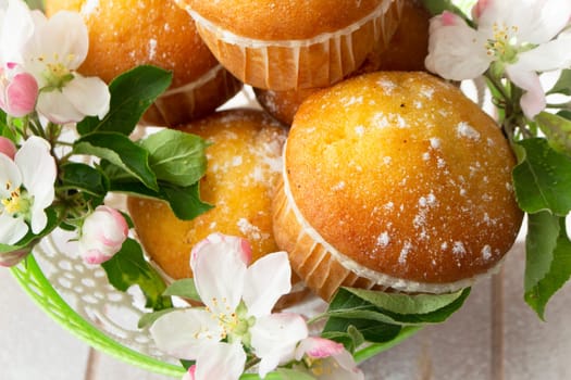 Small golden muffins closeup. Baking decorated with apricot or apple flowers.