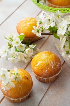 Golden muffins with cherriy flowers on shabby background