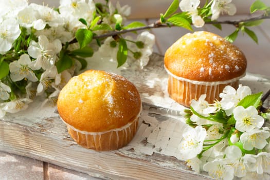 Mini muffins with cherriy flowers closeup. Spring concept