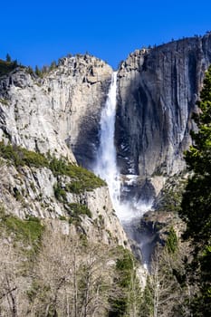 Yosemite Falls waterfall in Yosemite National Park San Francisco in North California United States. USA National park landmark and famous tourist spot for travel destination and adventure concept.