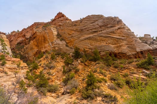 Mountain viewpoint Landscape in Zion national park in Zion Utah United States. USA American National Park Landscape travel destinations and tourism concept.