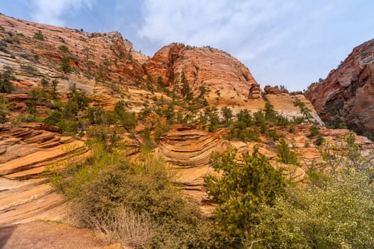 Mountain viewpoint Landscape in Zion national park in Zion Utah United States. USA American National Park Landscape travel destinations and tourism concept.