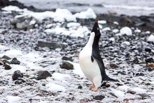 Beautiful landscape and scenery in Antarctica. Freezing