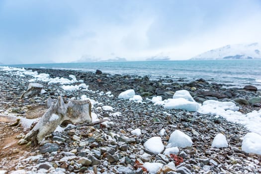 Beautiful landscape and scenery in Antarctica. Freezing