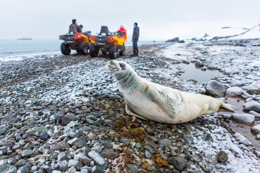 Beautiful landscape and scenery in Antarctica. Freezing