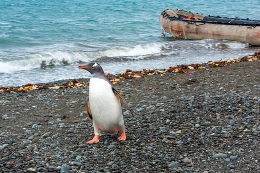 Beautiful landscape and scenery in Antarctica. Freezing